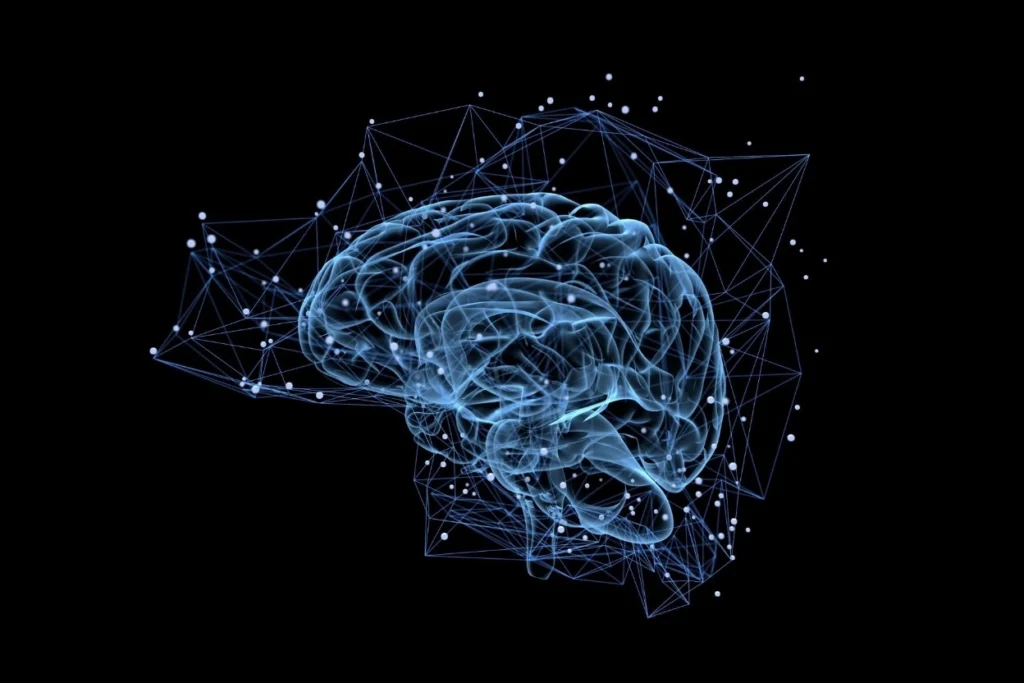 Cerveau humain illustrant l’influence du son en grande distribution et l’impact de la musique sur le comportement d’achat des consommateurs.