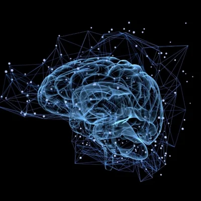 Cerveau humain illustrant l’influence du son en grande distribution et l’impact de la musique sur le comportement d’achat des consommateurs.